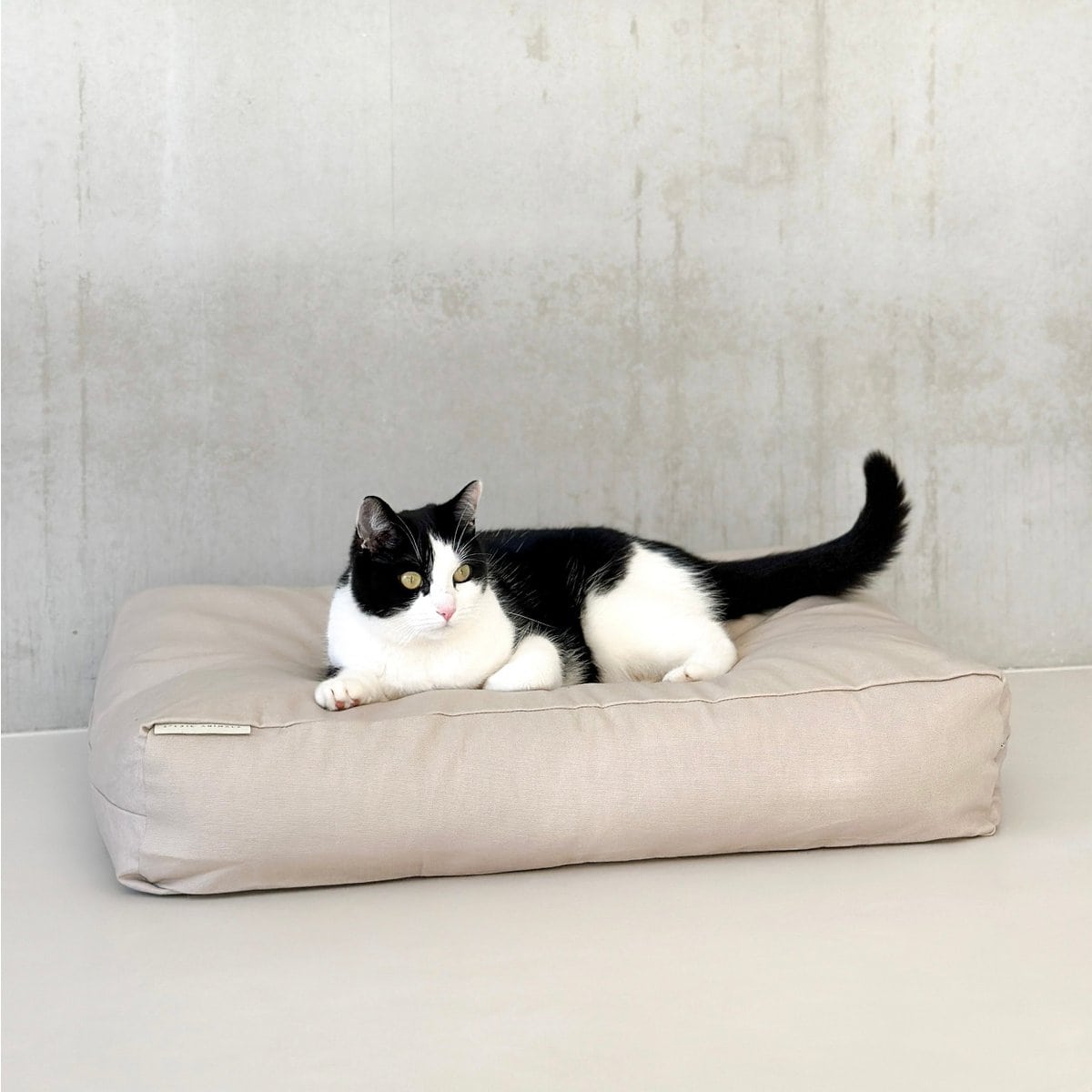Kussenhoes | katoen | vanille kleur | maat S | 70 x 50 x 15 cm - Afbeelding 5