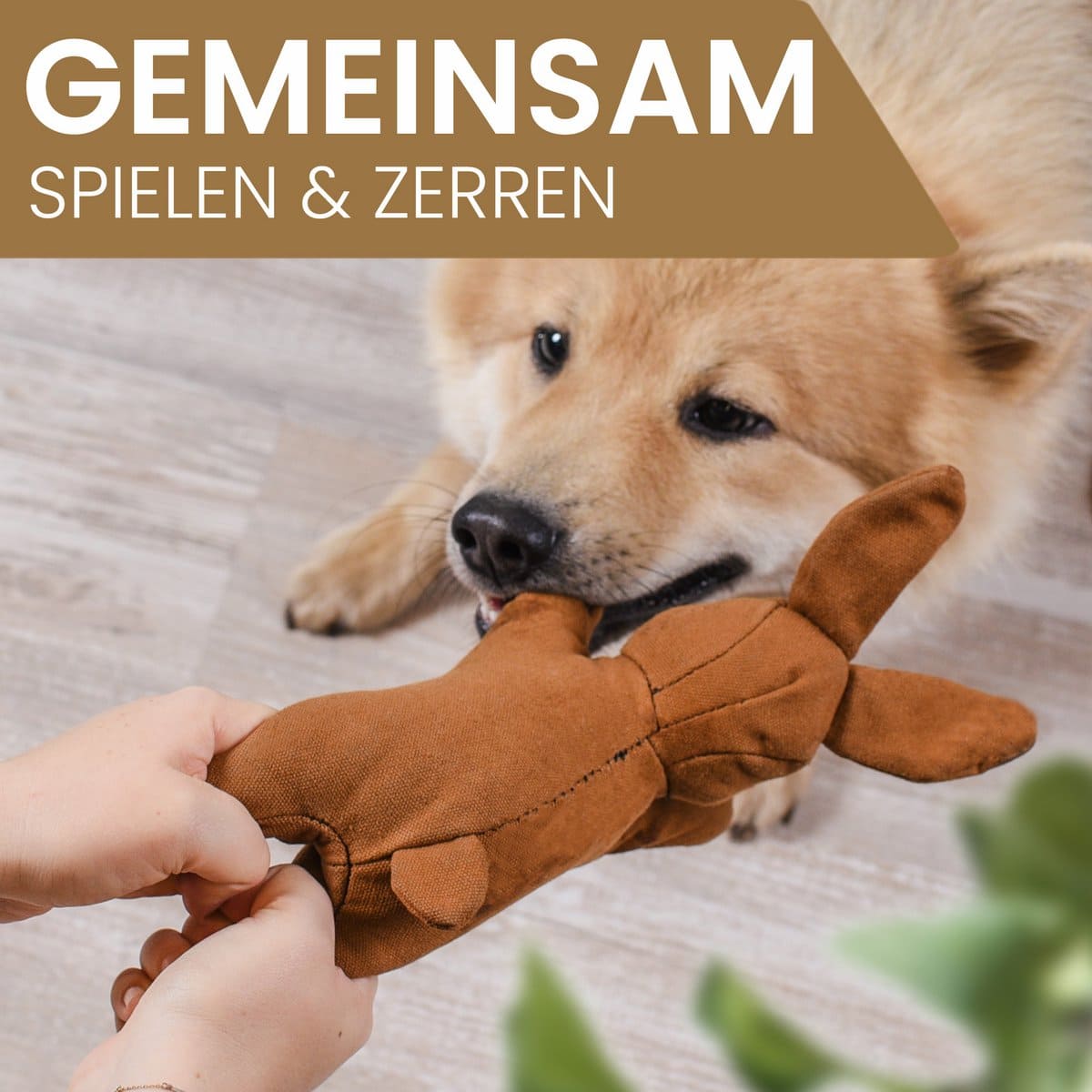 ne & no dog toy - dog die with squeaker - nimble rabbit Haru - Afbeelding 4