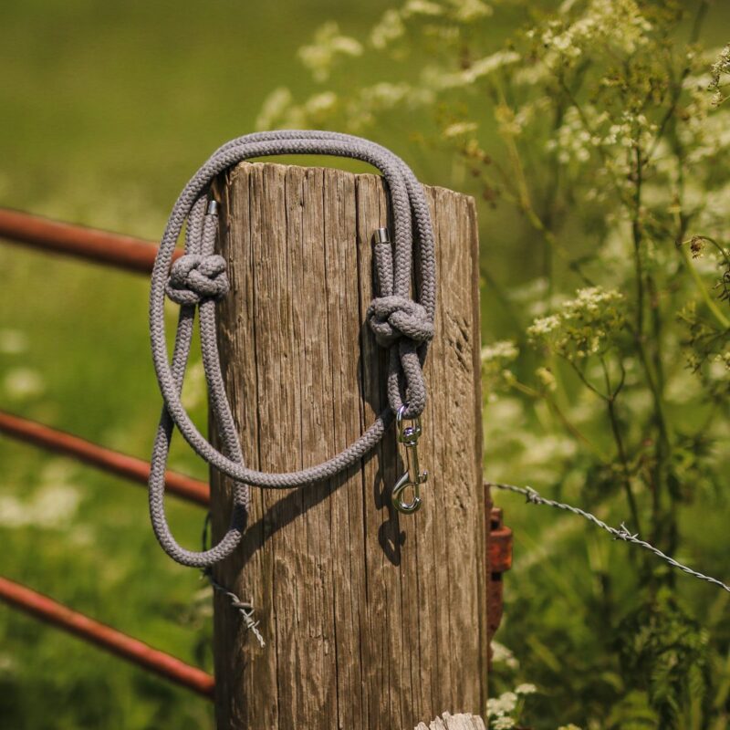 Hondenlijn en halsband aan houten paal in de tuin.