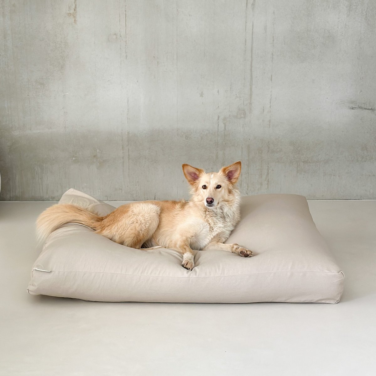 Kussenhoes | katoen | vanille kleur | maat L | 130 x 90 x 15 cm - Afbeelding 5