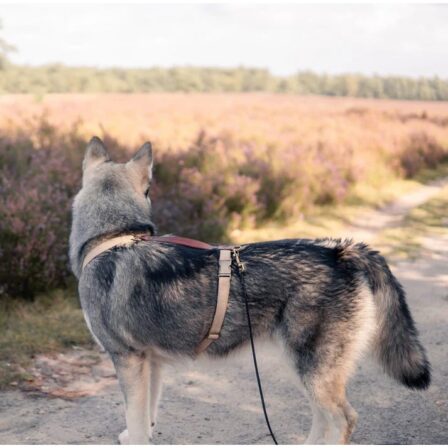 DRIFT | Leren Sleeplijn | Bruin