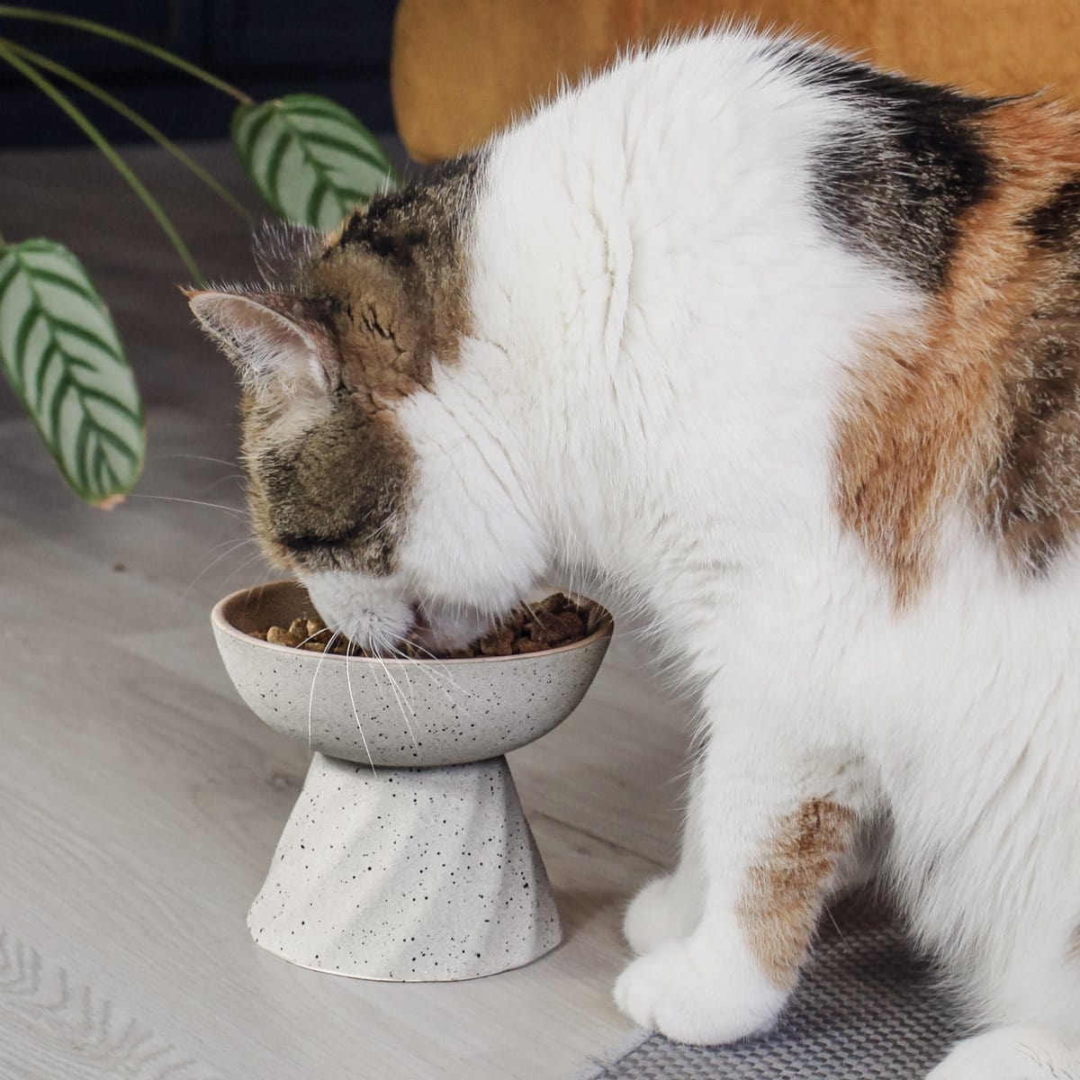 ne & no® increased ceramic food bowl for cats in stone optics - Afbeelding 2
