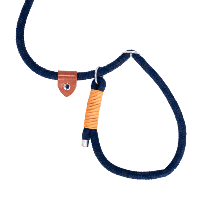 Hondenhalsband met bijtring en leren details voor huisdieren.