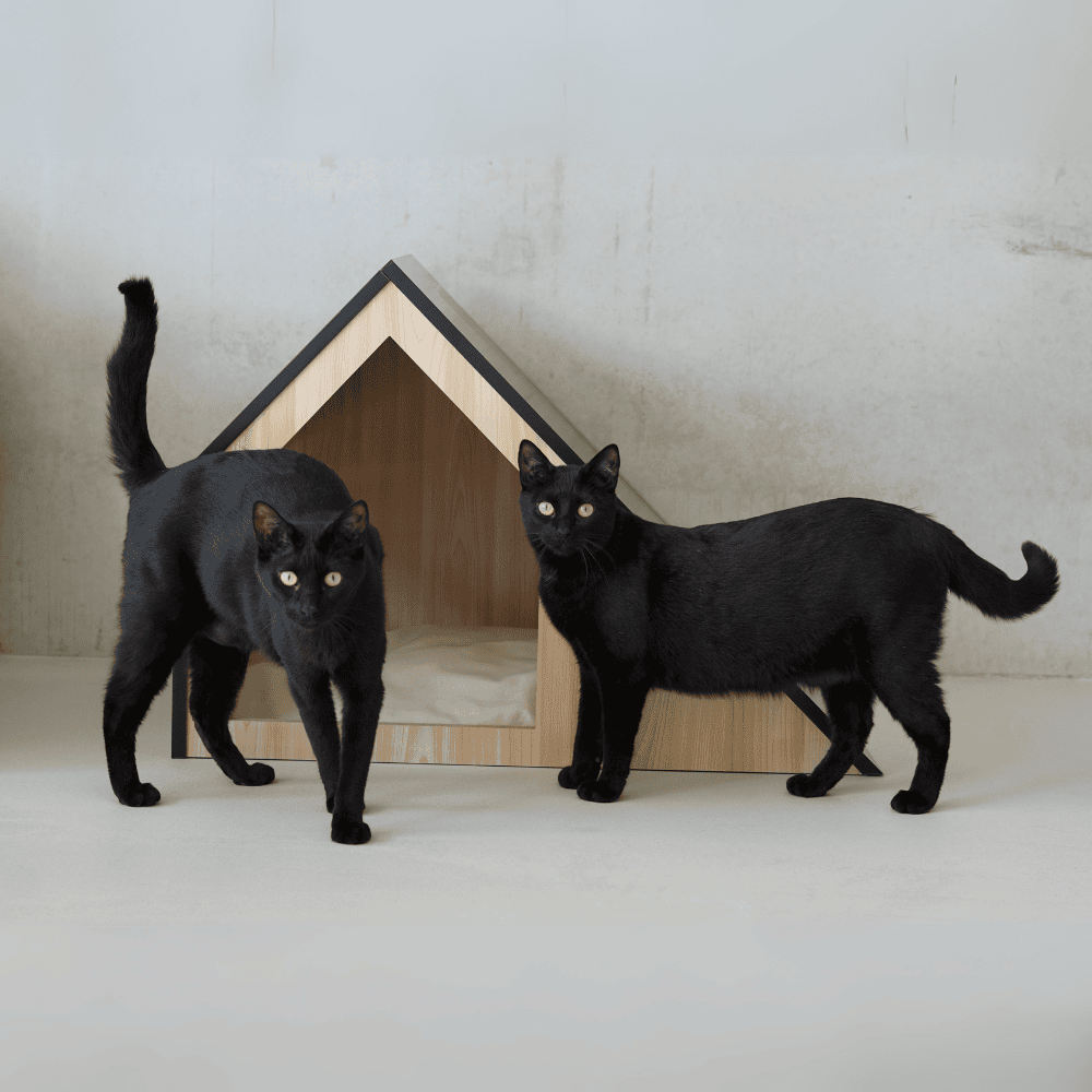 Kattenhuis | hout | katoen | zwart | 75 x 50 x 53 cm - Afbeelding 10