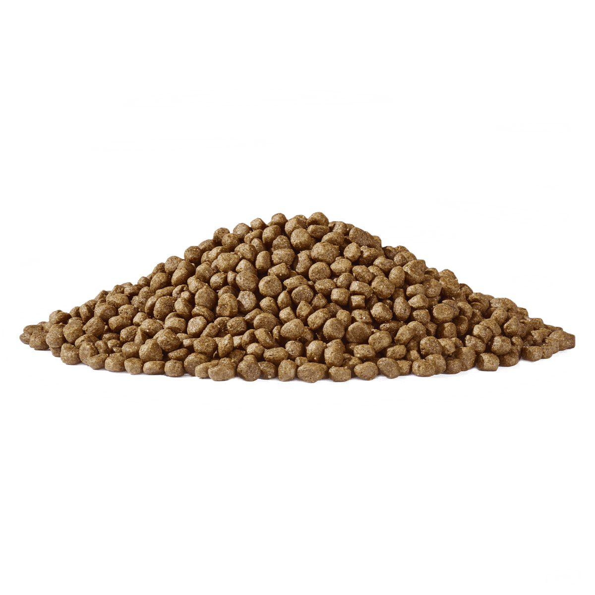 Dogs’n Tiger Junior Premium kattenvoer, Flitzpiepe, droogvoer voor kittens, graanvrij, zalm & kalkoen - Afbeelding 5