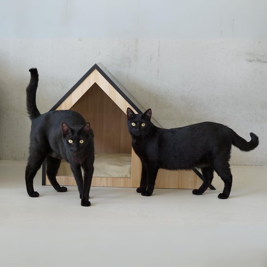 Kattenhuis | hout | zwart | 75 x 50 x 53 cm - Afbeelding 5
