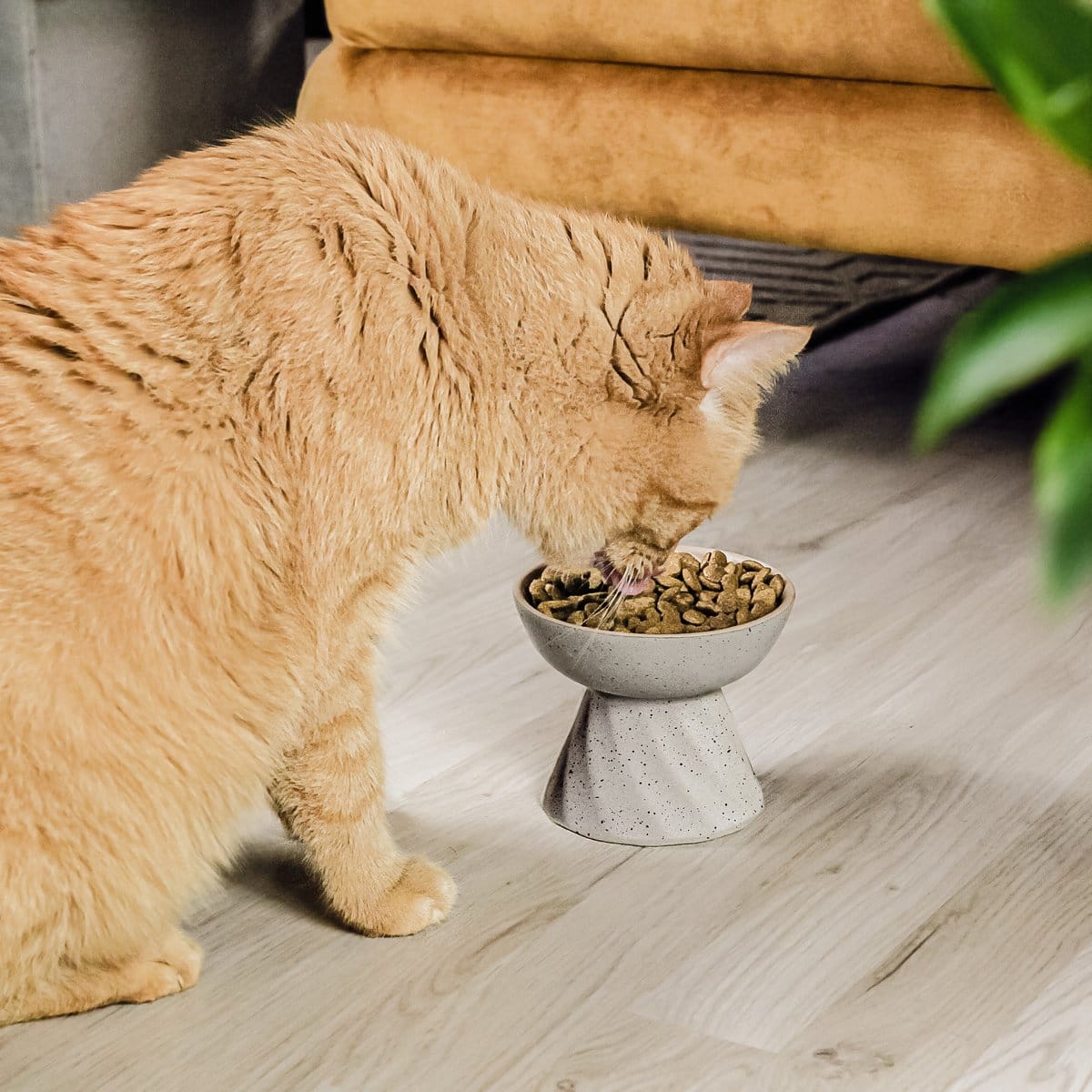 ne & no® increased ceramic food bowl for cats in stone optics - Afbeelding 5