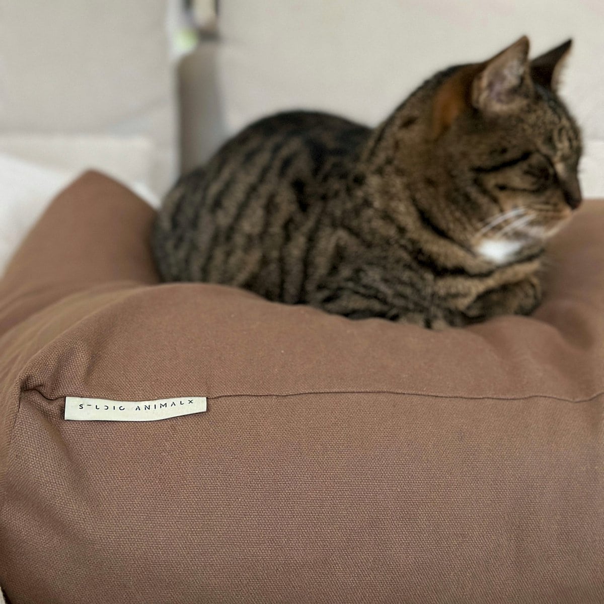 Dog & cat pillow | cotton | EPS pearl filling | mocha | size S | 70 x 50 x 15 cm - Afbeelding 5