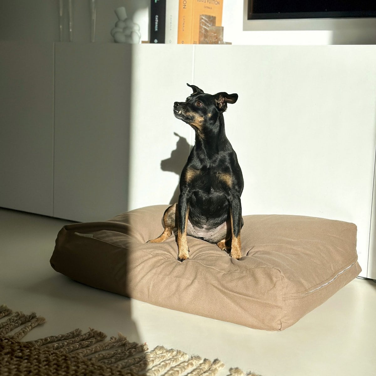 Dog & cat pillow | cotton | EPS pearl filling | mocha | size S | 70 x 50 x 15 cm - Afbeelding 2