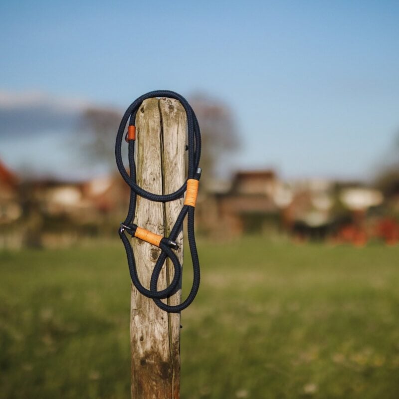 Hondenlijn bevestigd aan houten paal in open veld.