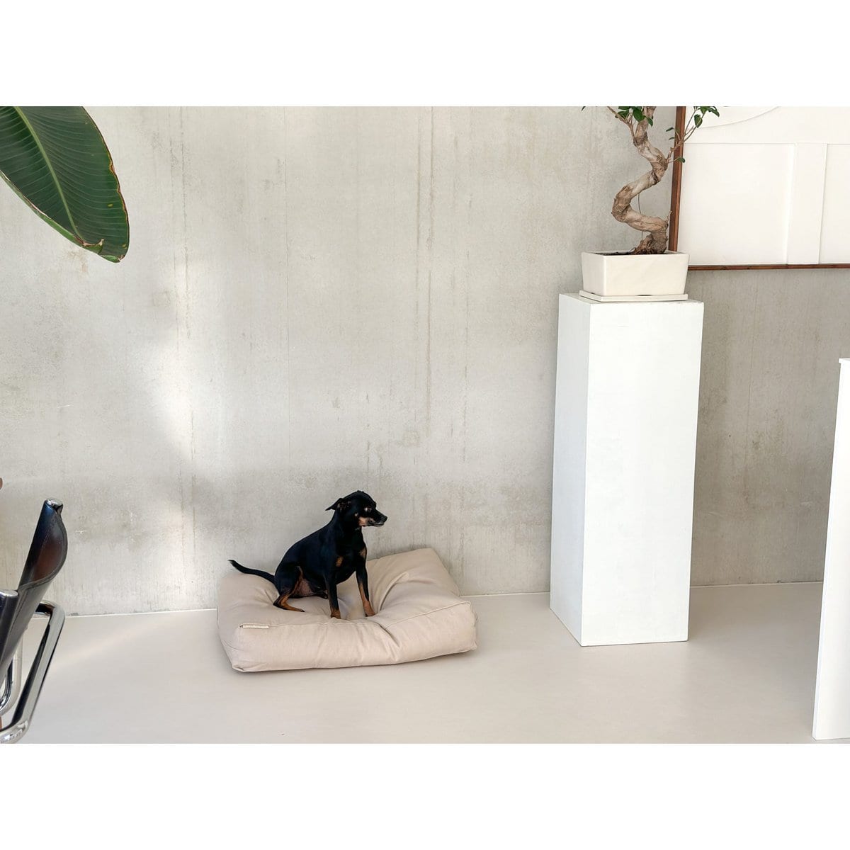 Kussenhoes | katoen | vanille kleur | maat S | 70 x 50 x 15 cm - Afbeelding 6