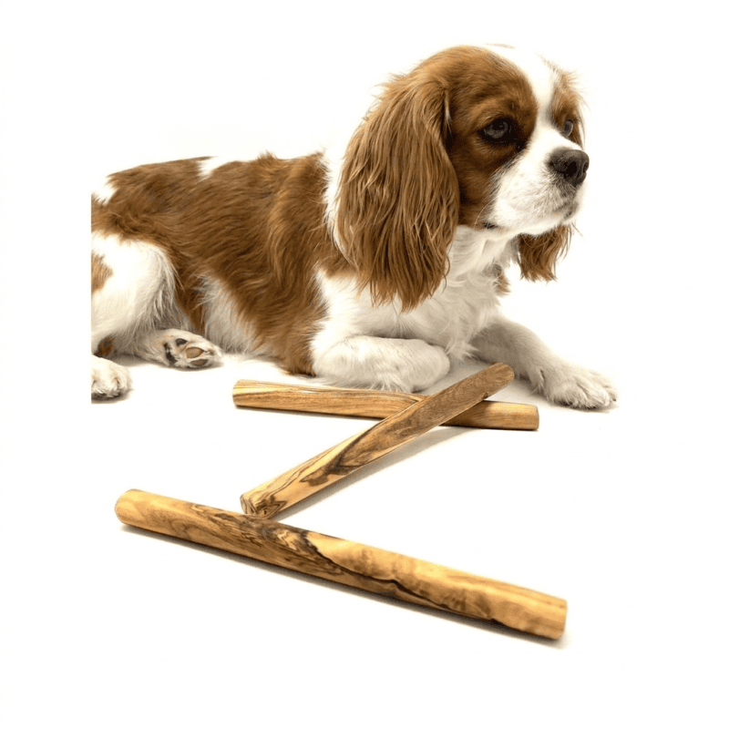 Olijfhouten kauwbotten voor kleine honden (set van 3)