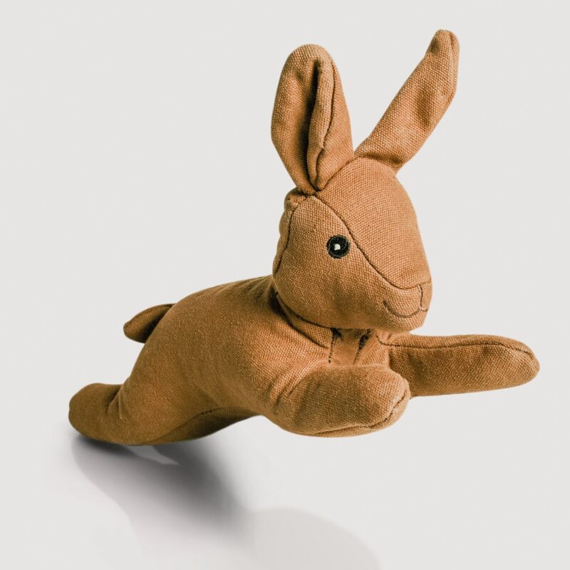 ne & no dog toy - dog die with squeaker - nimble rabbit Haru