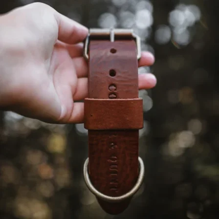 Brede Leren Halsband | Bold Bruin