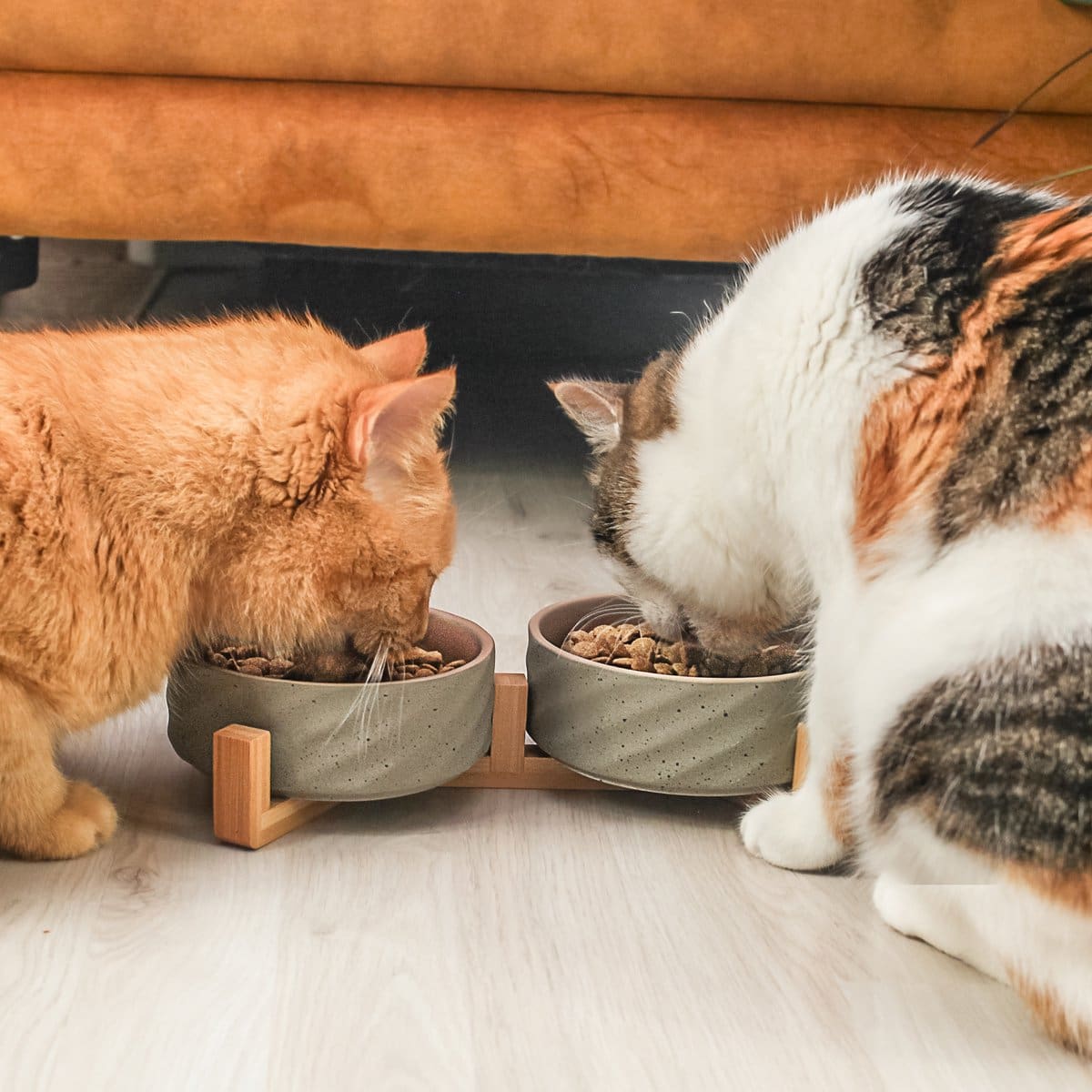 ne & no® ceramic double -food bowl with bamboo tap i 2er - Afbeelding 6