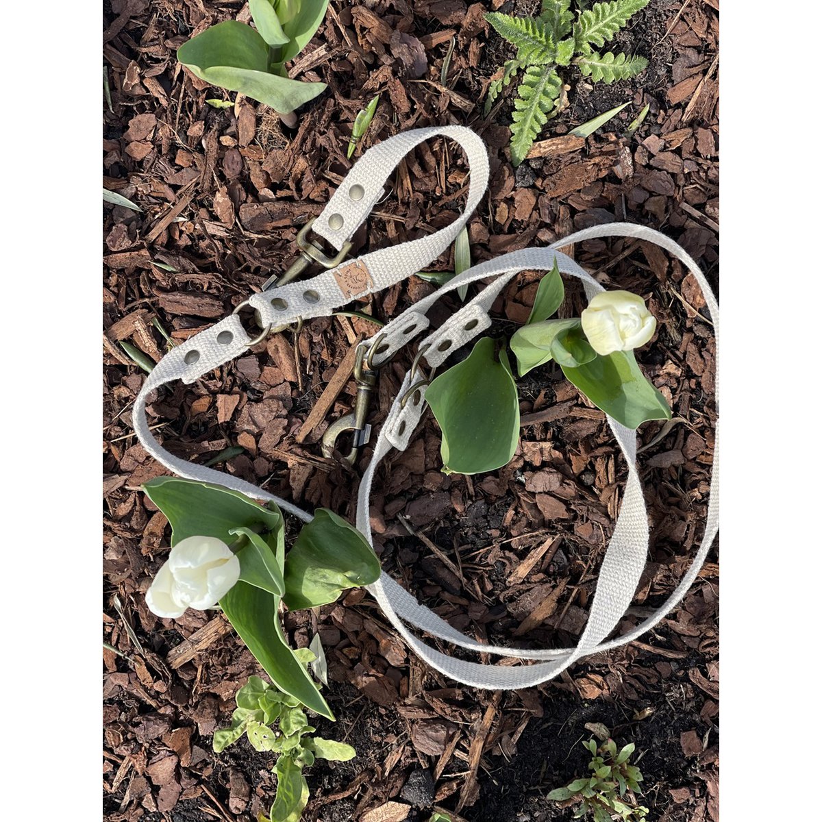 Simply Hemp Hondenriem | Schelpenwit - Afbeelding 5