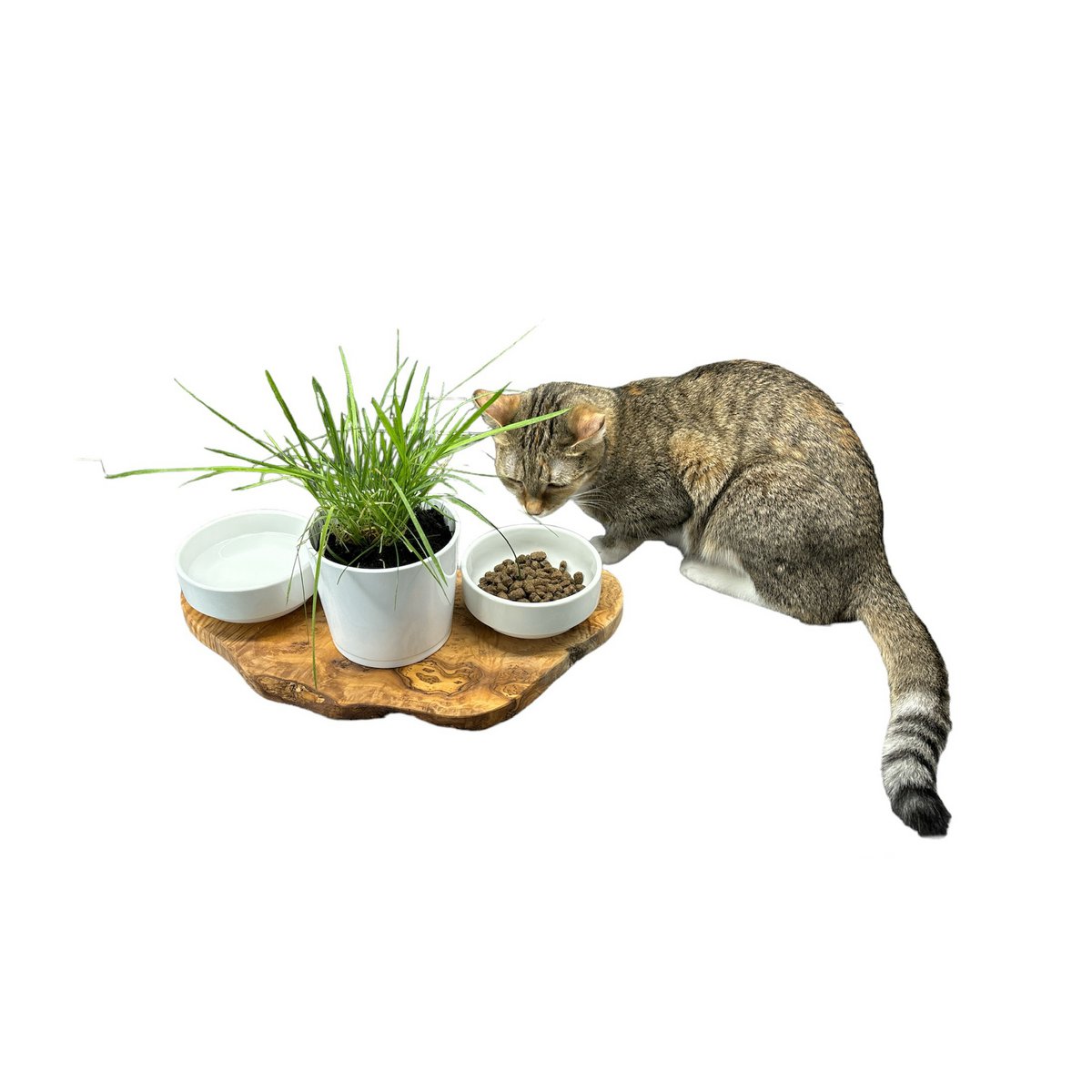 RUSTY voerstation 2x 0,4 liter porseleinen kommen plus pot voor kattengras olijfhout - Afbeelding 7