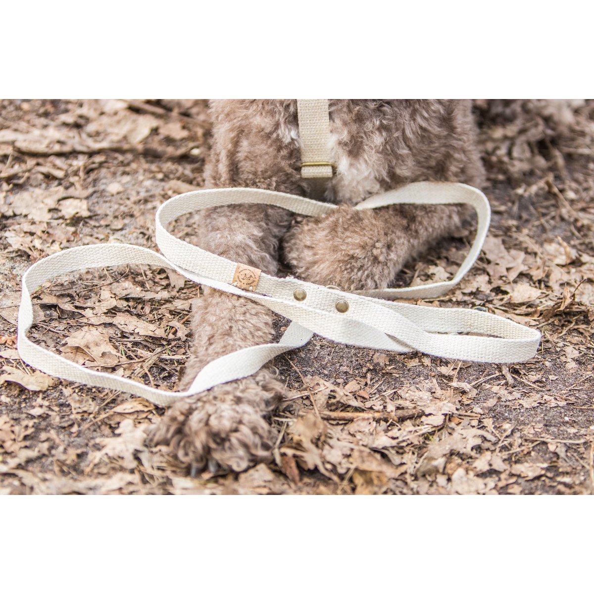 Simply Hemp Hondenriem | Schelpenwit - Afbeelding 2